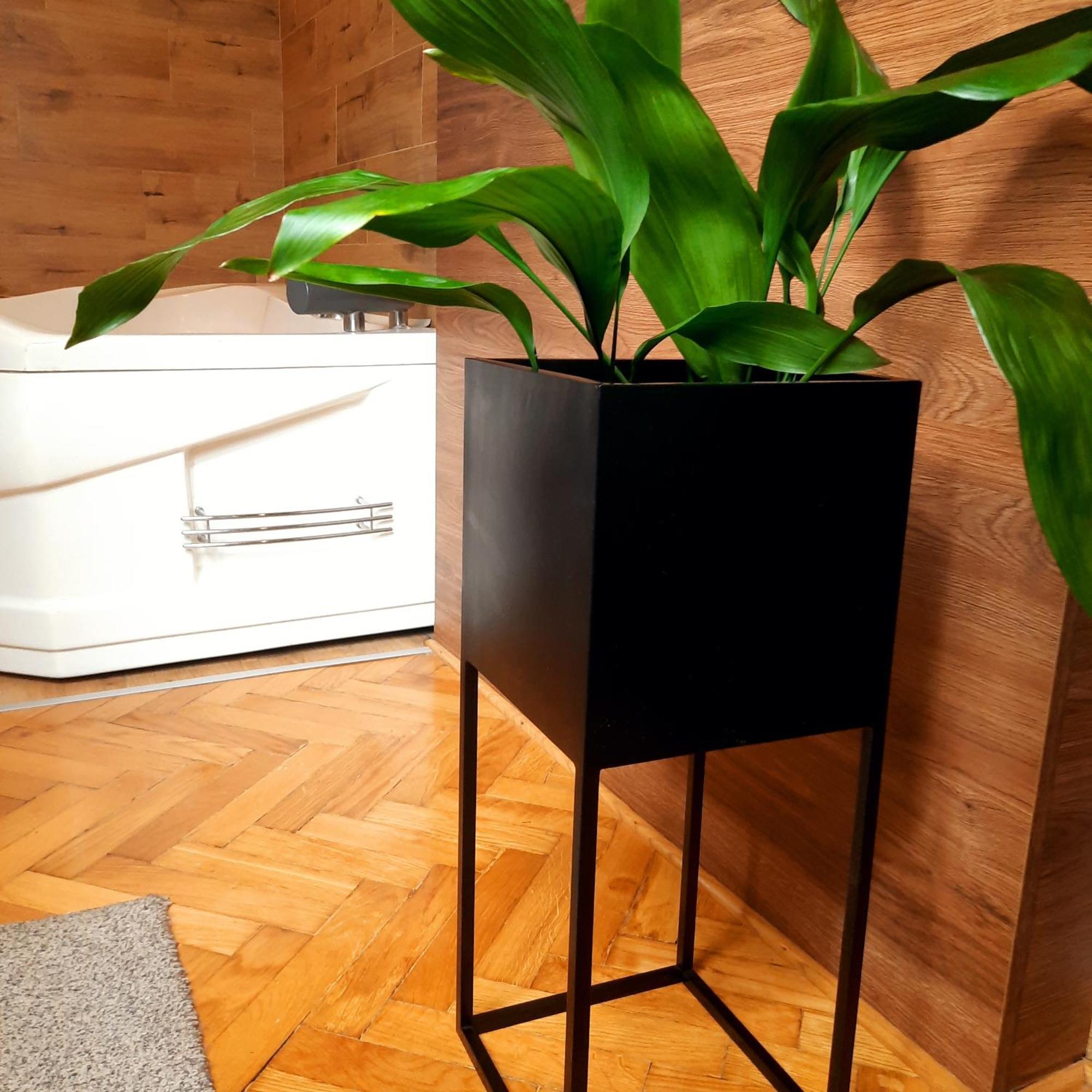 Stan Na Dan Apartman D Lux Jacuzzi Κραγκούγιεβατς Εξωτερικό φωτογραφία